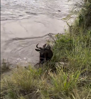 Screenshot 2025-08-29 083426.png