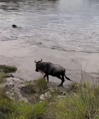 Screenshot 2025-08-29 083431.png