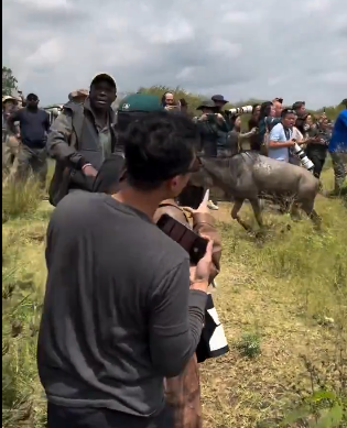 Screenshot 2025-08-29 083508.png