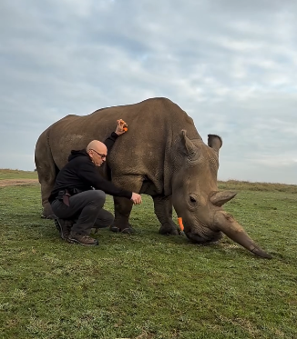 Screenshot 2025-08-29 083647.png