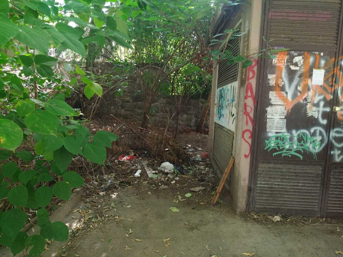 WhatsApp Image 2025-08-29 at 11.05.50_042d8944.jpg