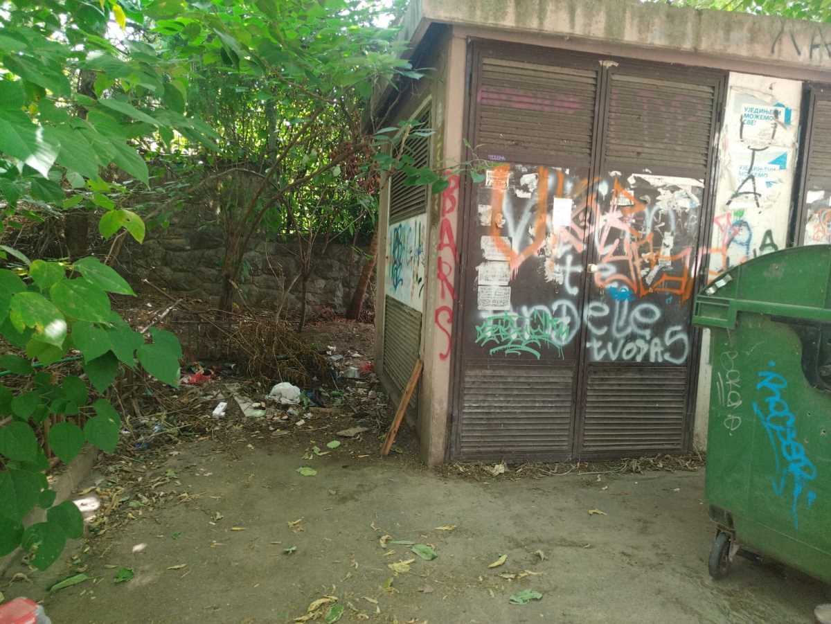 WhatsApp Image 2025-08-29 at 11.05.50_8260e14d.jpg