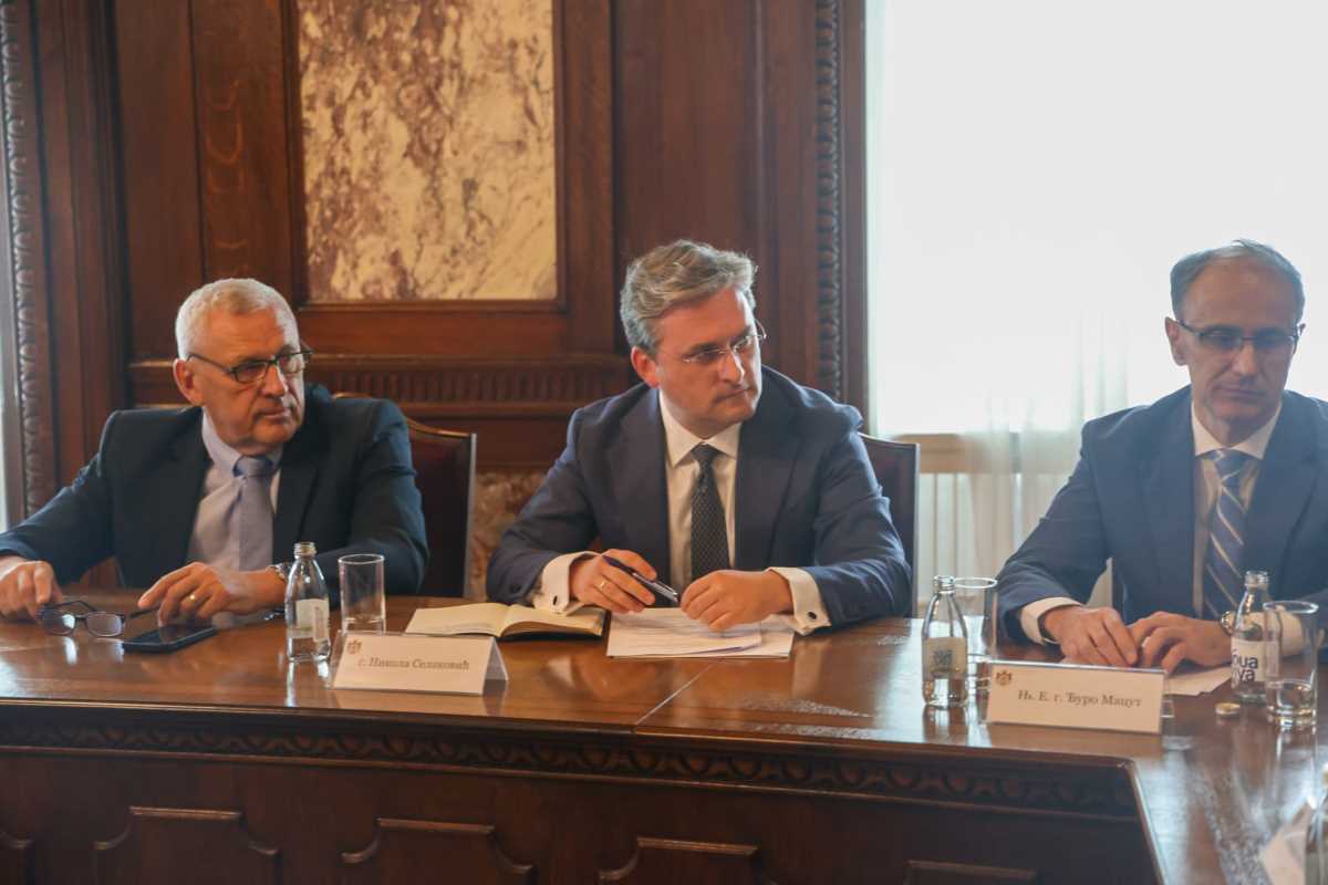 Aleksandar Vucic (9).jpeg