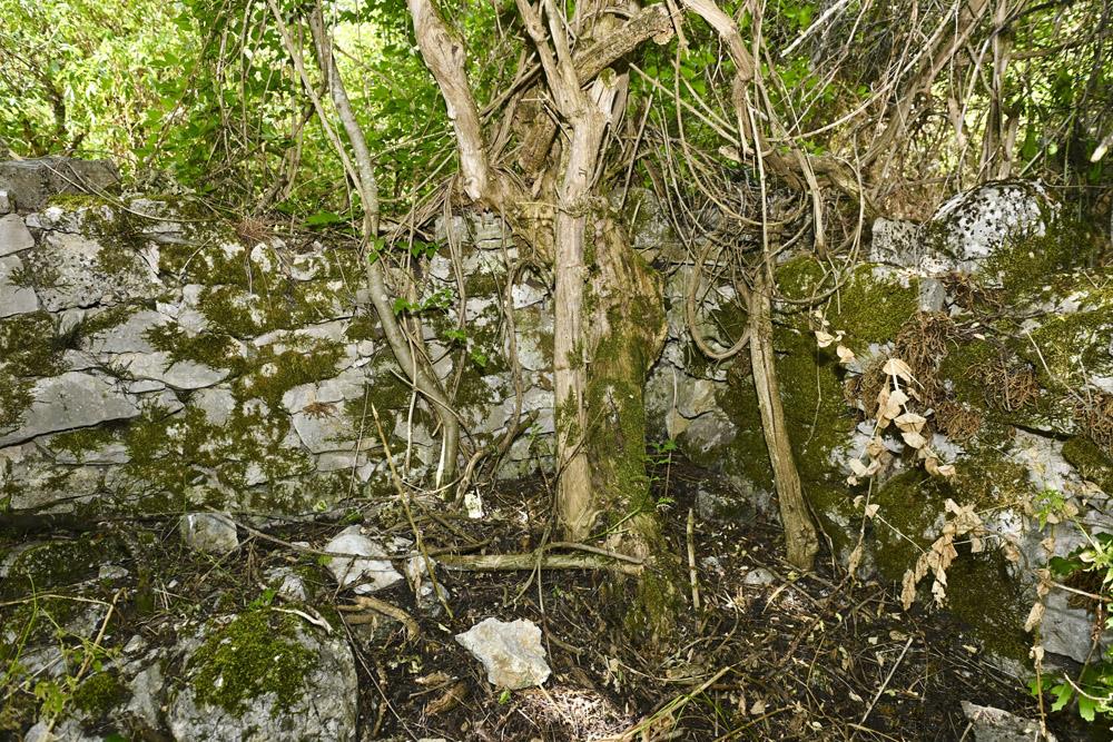 nevesinje foto marko karovic_55.jpg