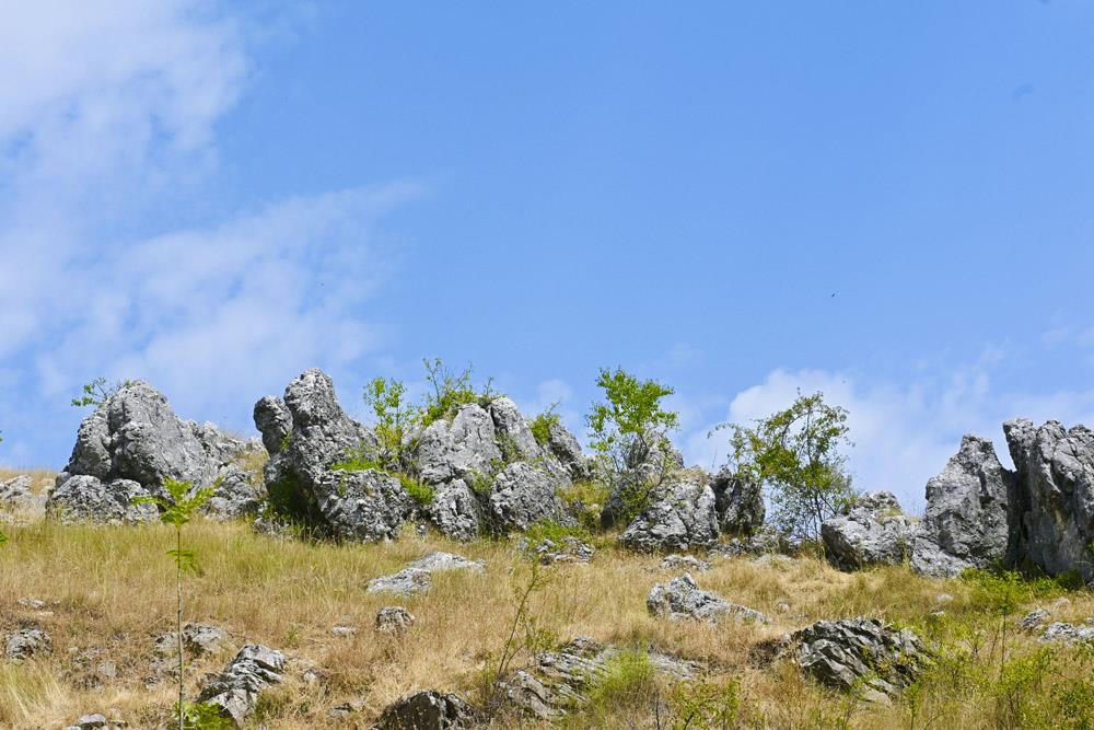 nevesinje foto marko karovic_58.jpg