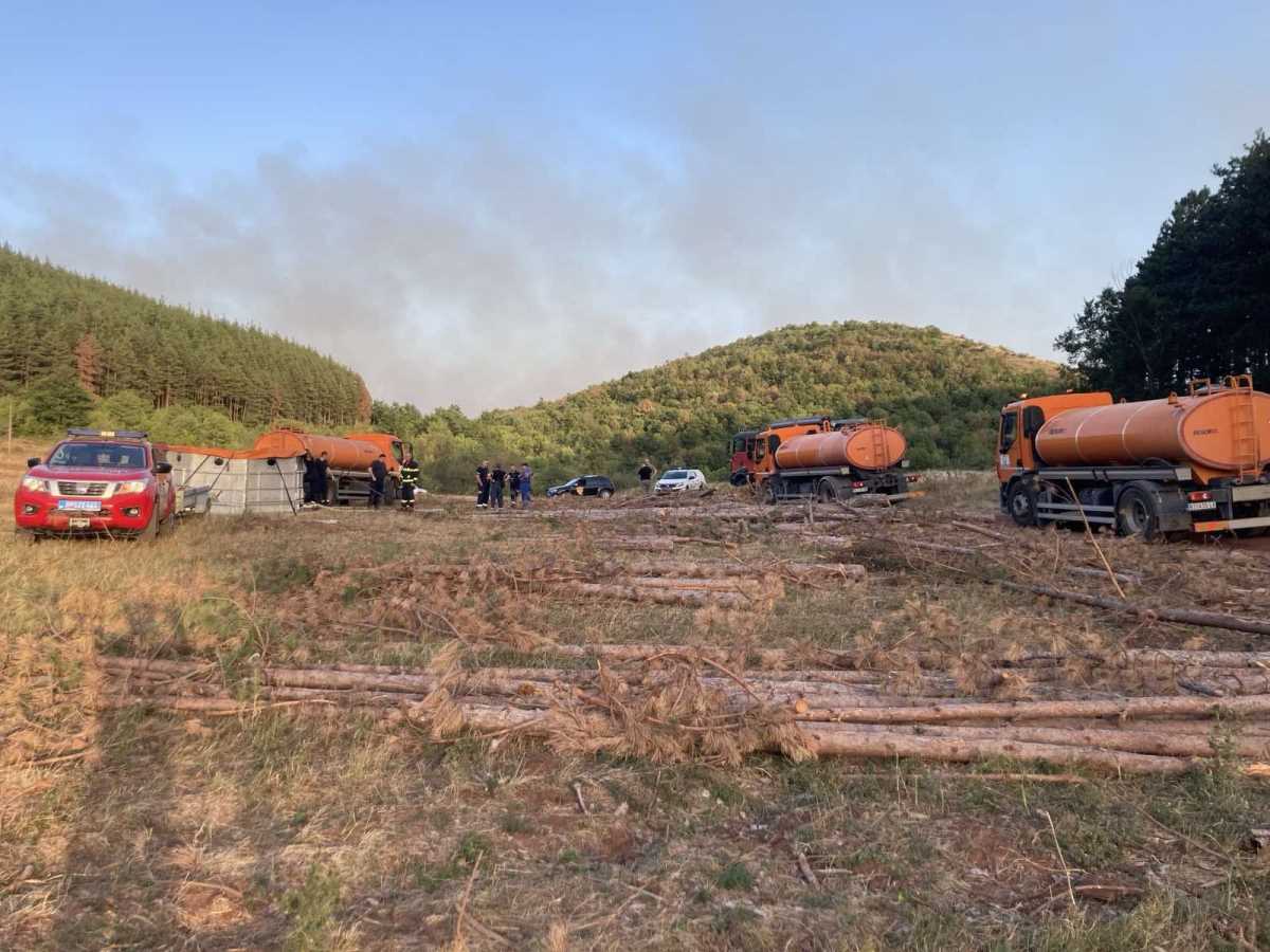 WhatsApp Image 2025-08-29 at 19.20.11_d850acd4.jpg