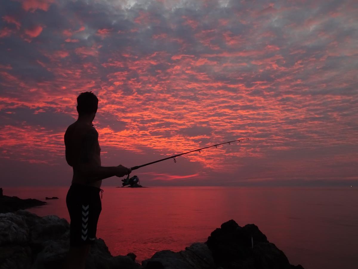 Toma Brakočević Bali