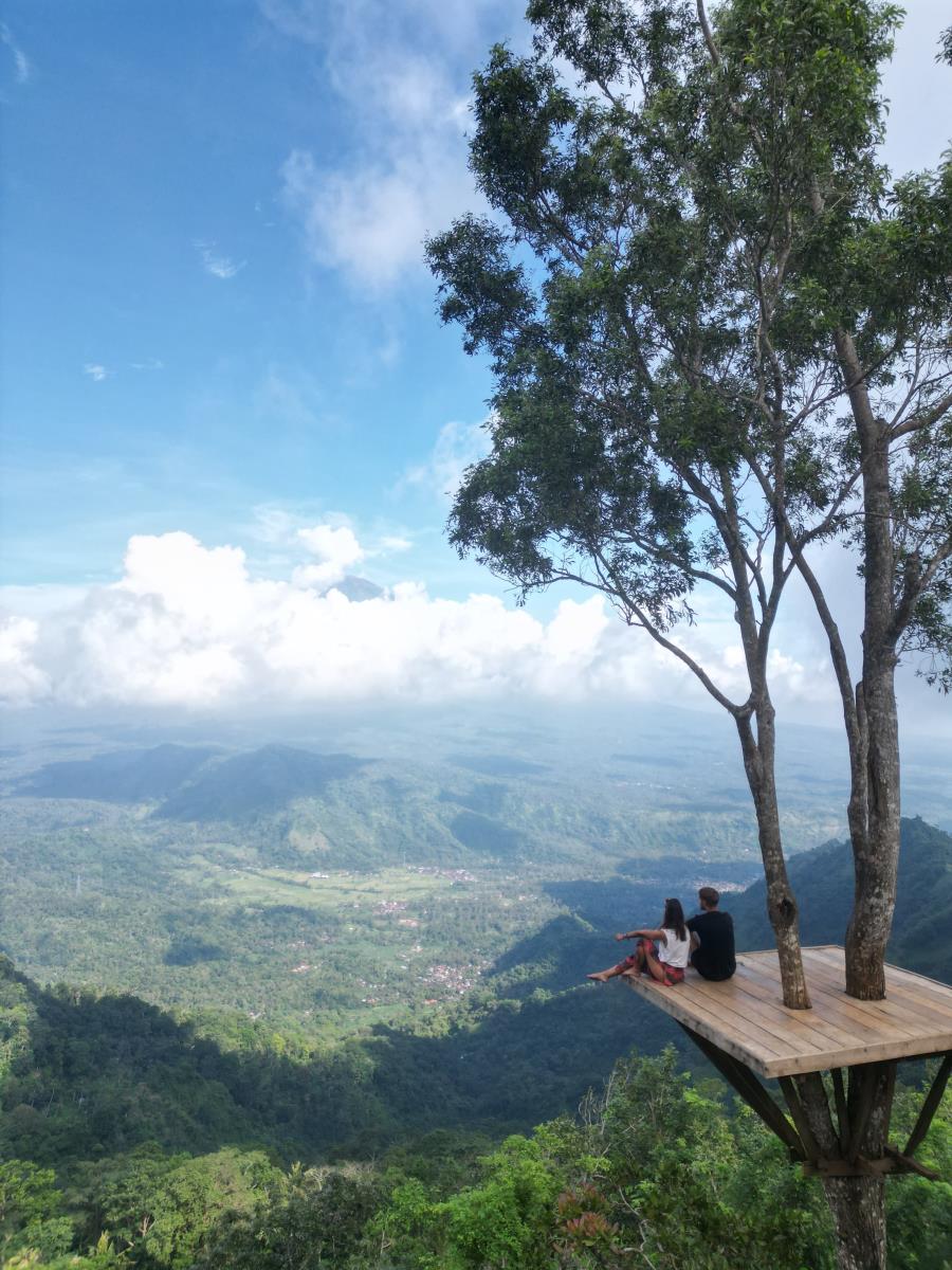 Toma Brakočević Bali