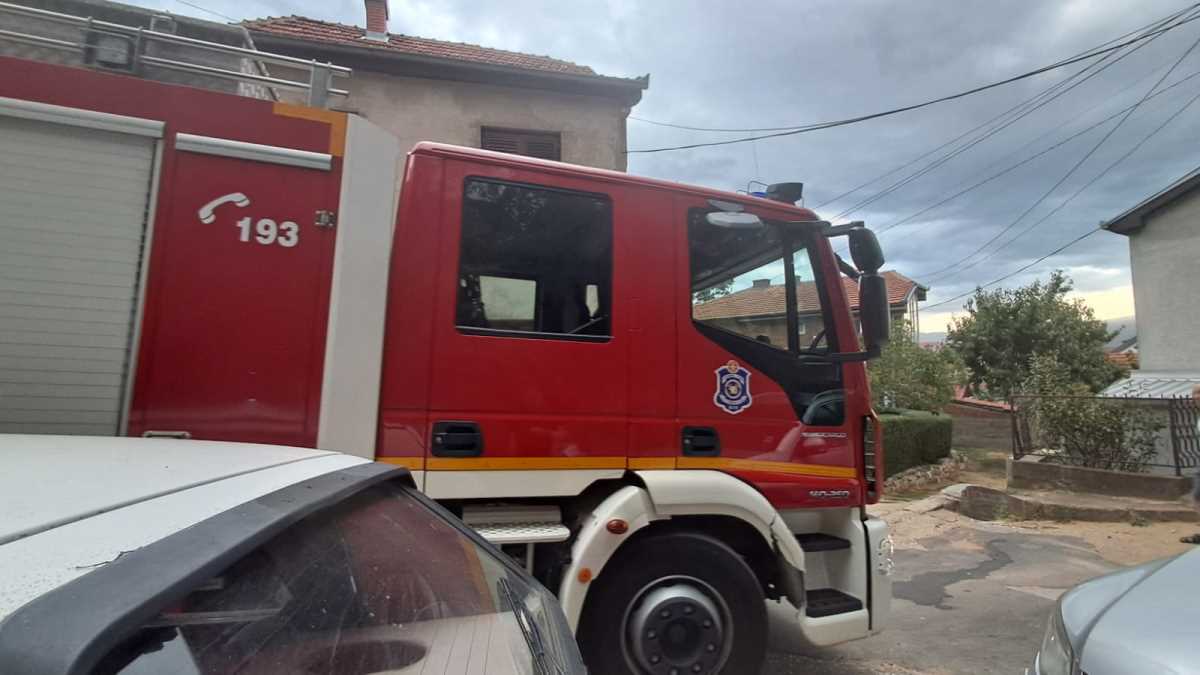 WhatsApp Image 2025-08-30 at 17.40.27_a5ddc940.jpg