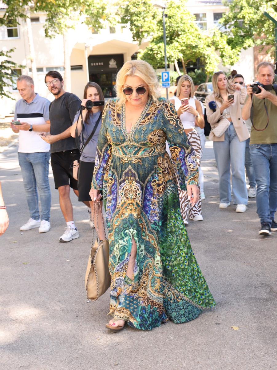 Zvezde Granda  Snežana Đurišić (2).jpeg