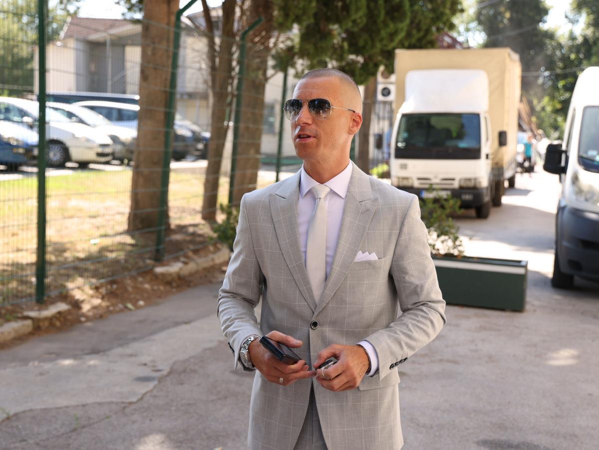 Zvezde Granda  Milan Mitrović.jpeg