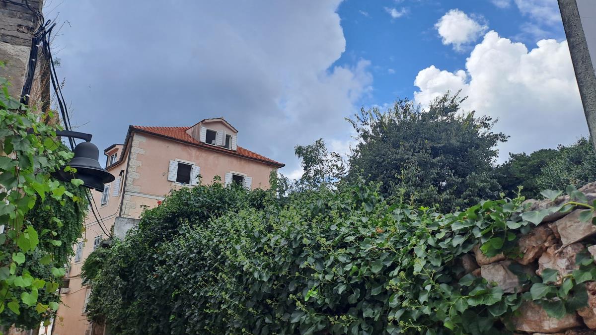 2201 nina badric (5).jpg