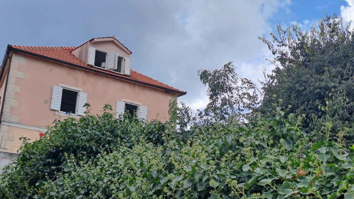 2201 nina badric (6).jpg