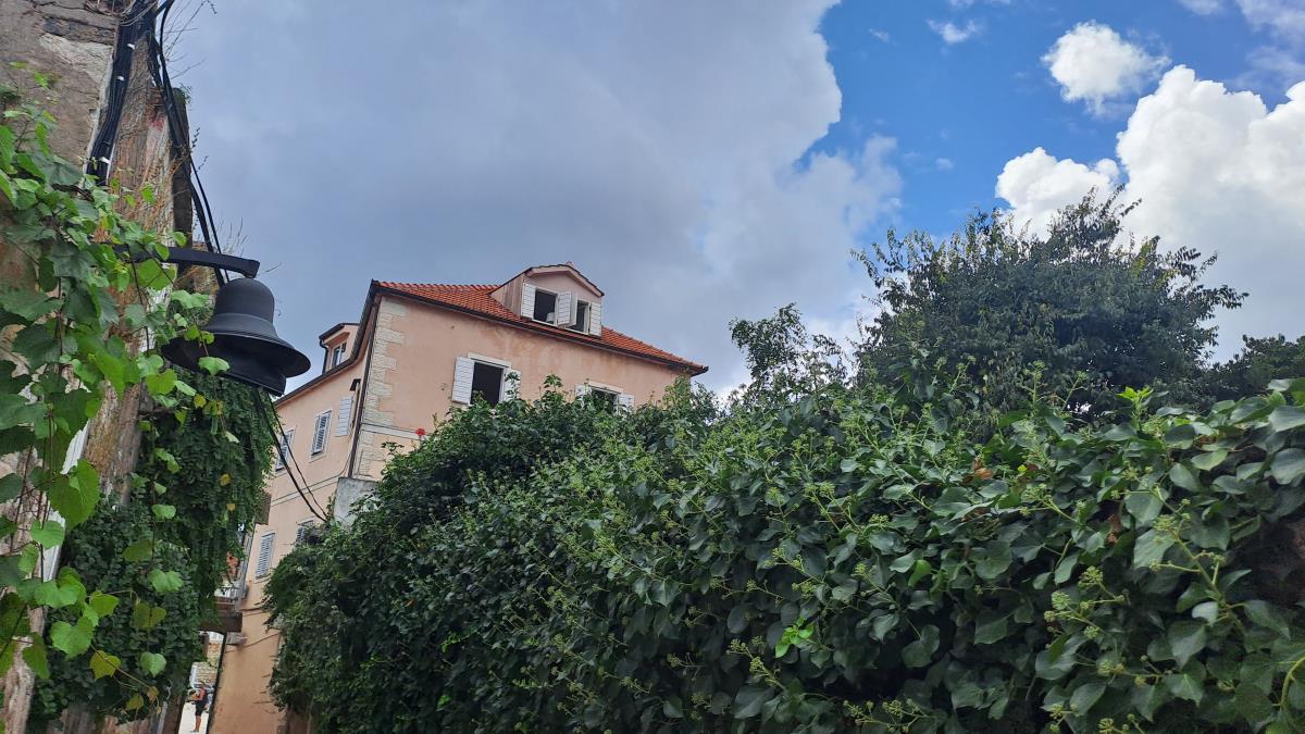 2201 nina badric (7).jpg