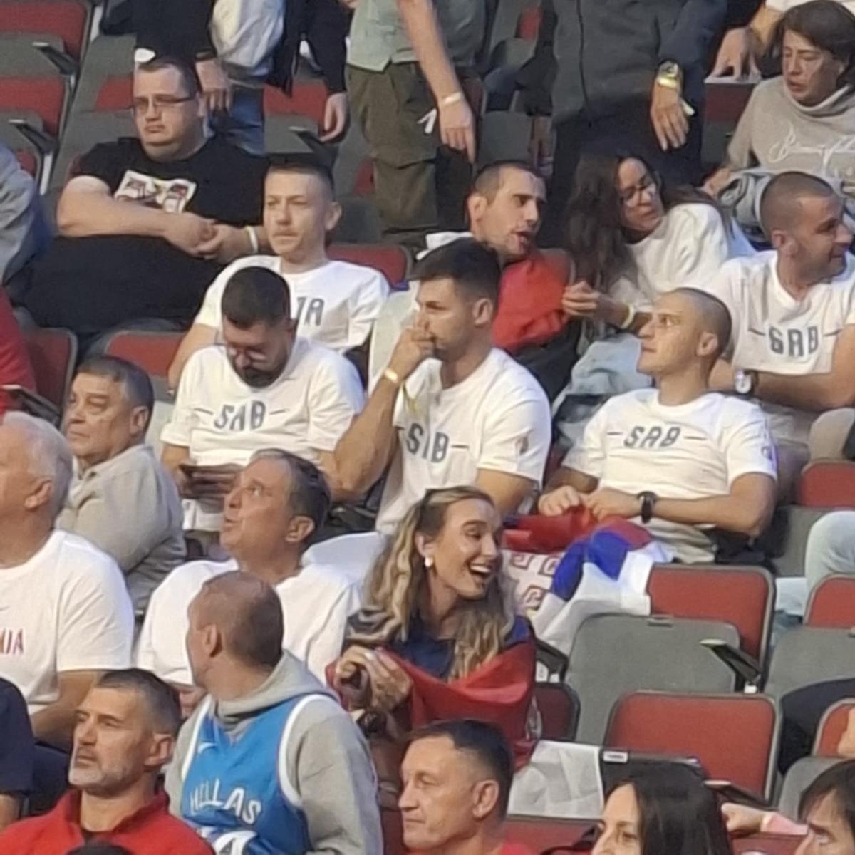 Navijačica Srbije 2.jpg