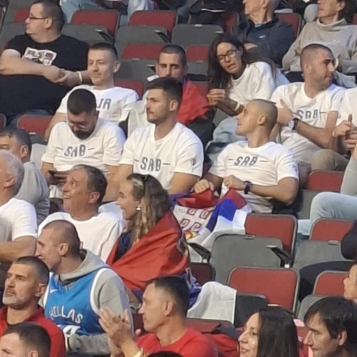 Navijačica Srbije 3.jpg