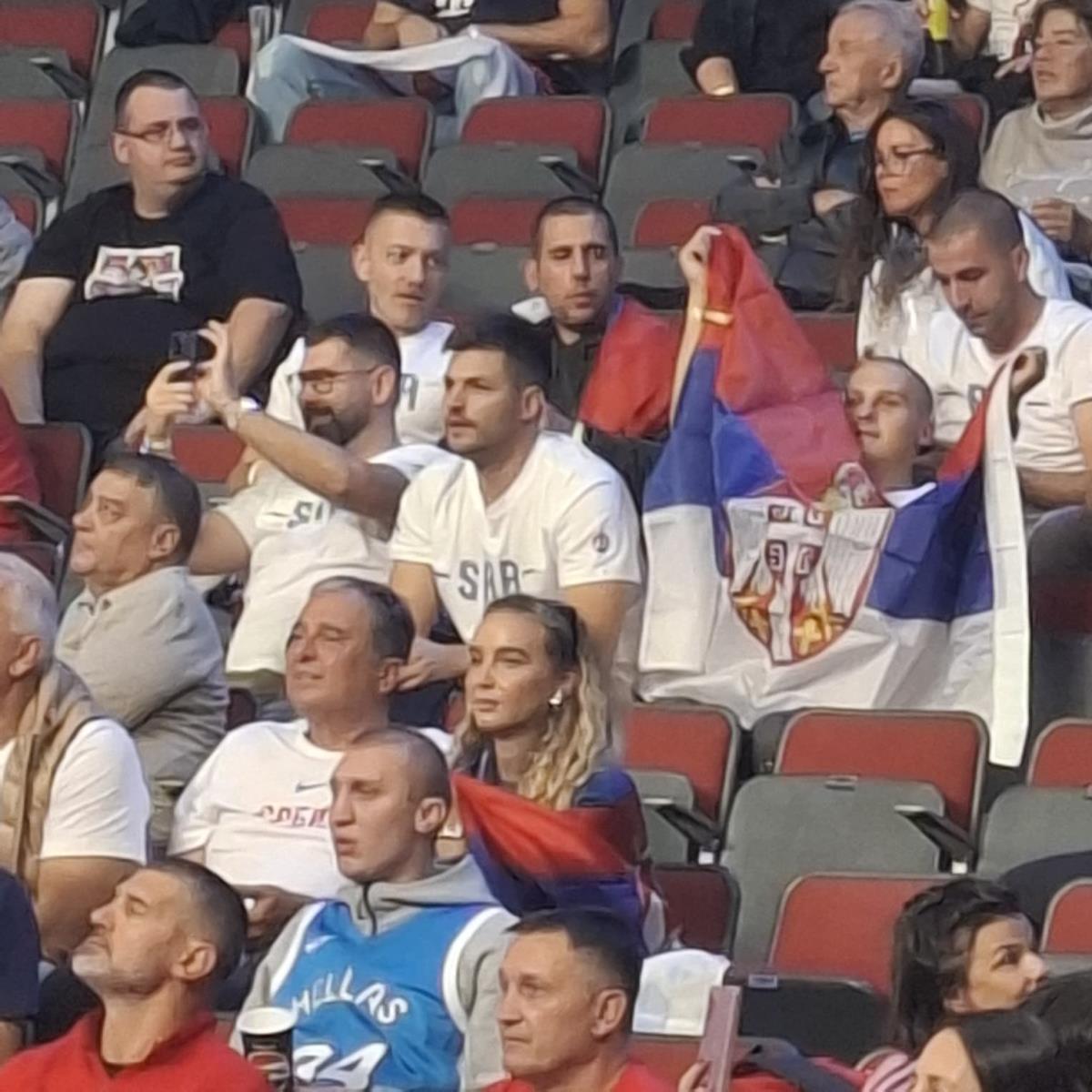 Navijačica Srbije 5.jpg