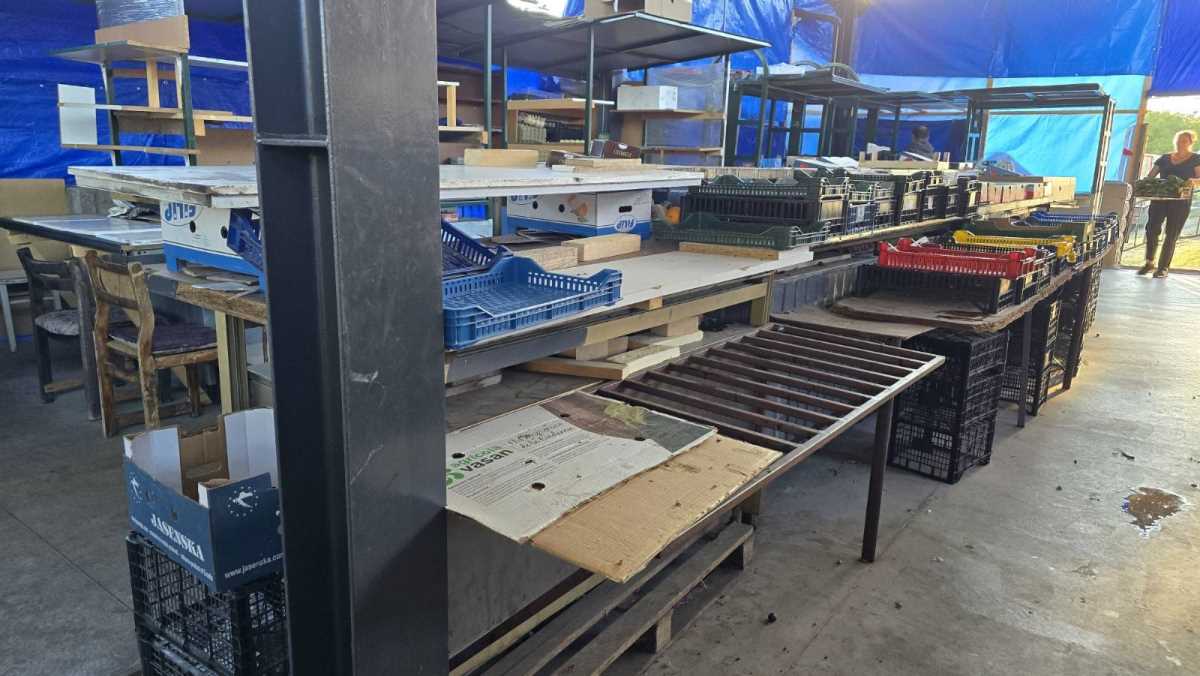 WhatsApp Image 2025-09-02 at 14.47.23_4d81f41d.jpg