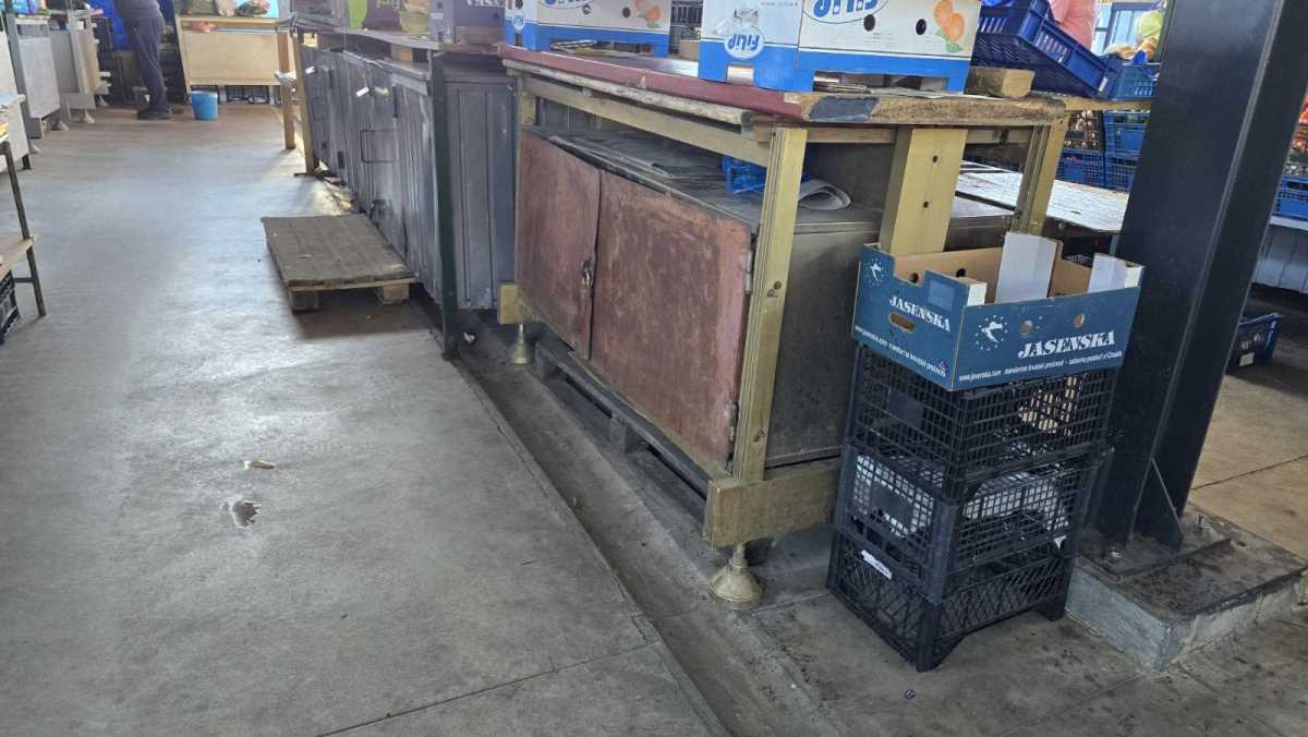 WhatsApp Image 2025-09-02 at 14.47.23_64f4ce7b.jpg