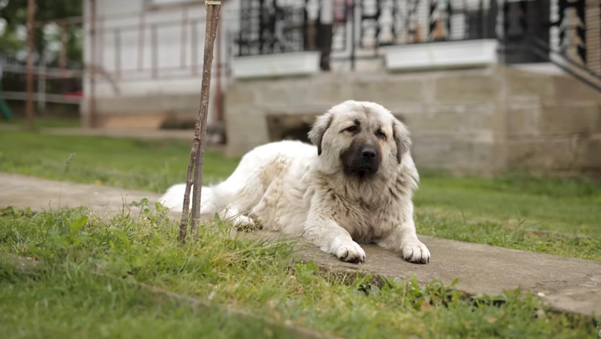 Screenshot 2025-09-03 142133.jpg