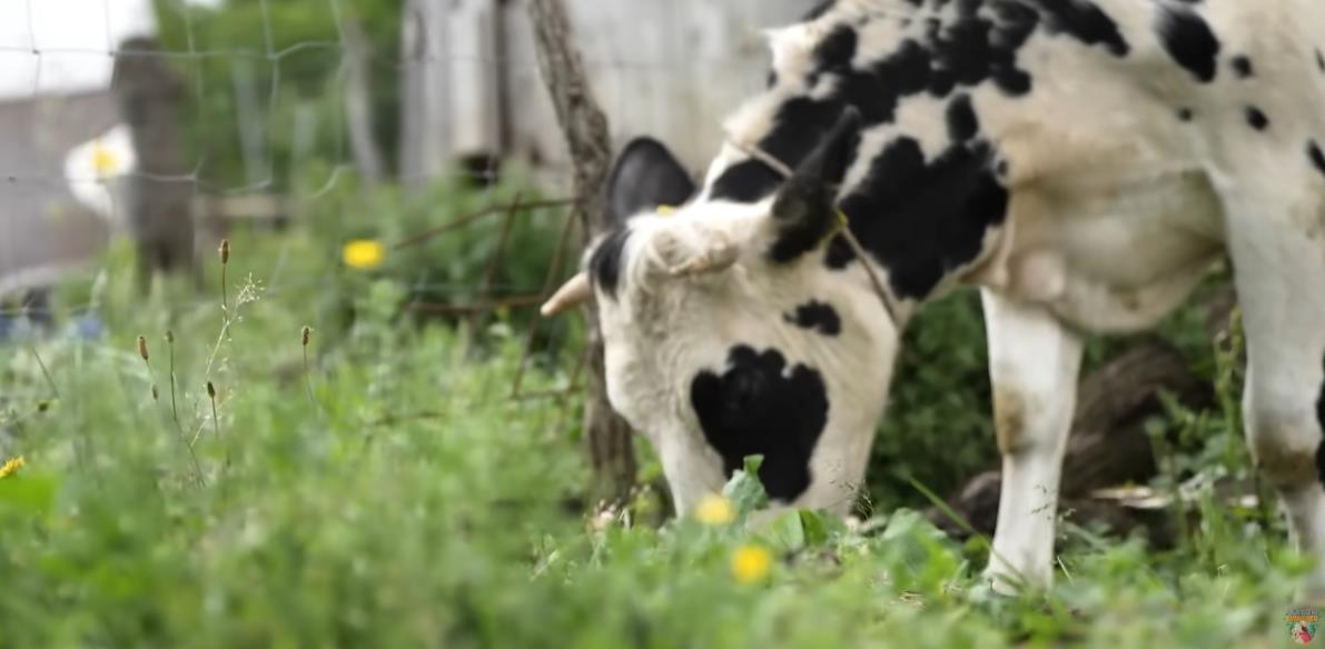 Screenshot 2025-09-03 144454.png