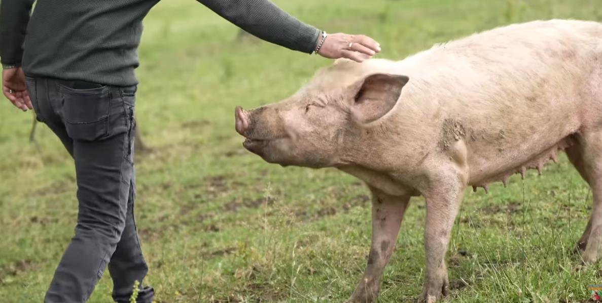 Screenshot 2025-09-03 144544.png