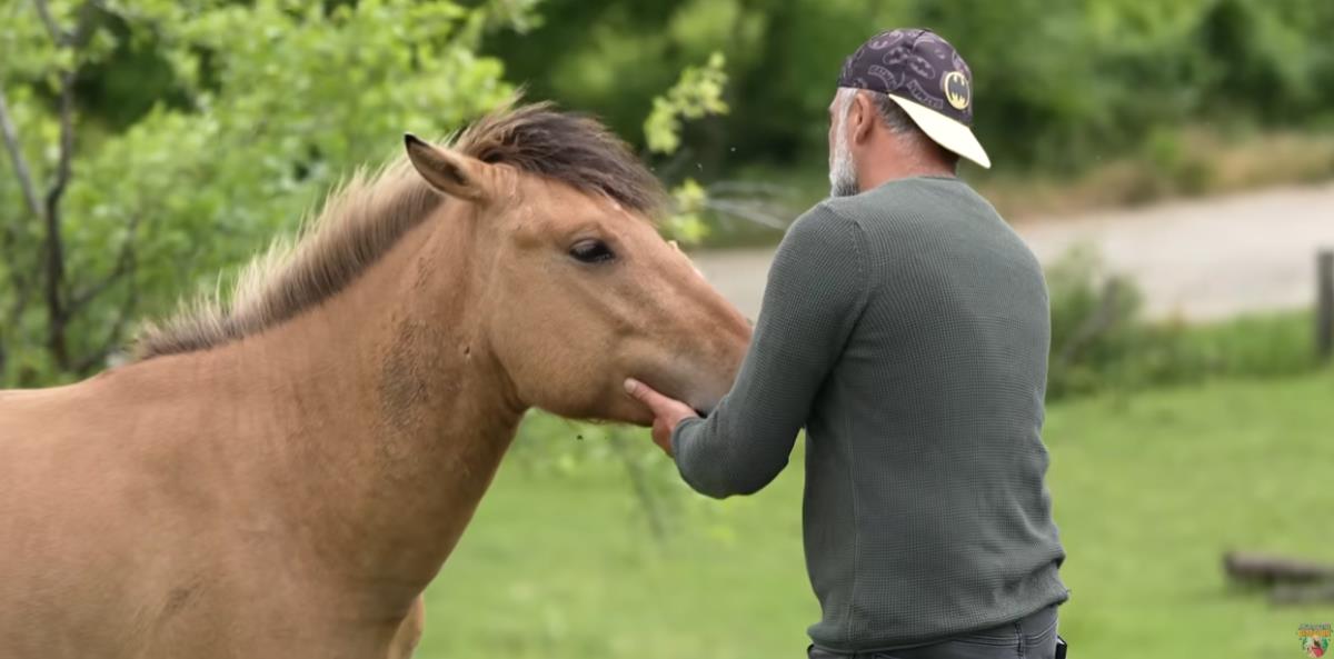 Screenshot 2025-09-03 144804.png