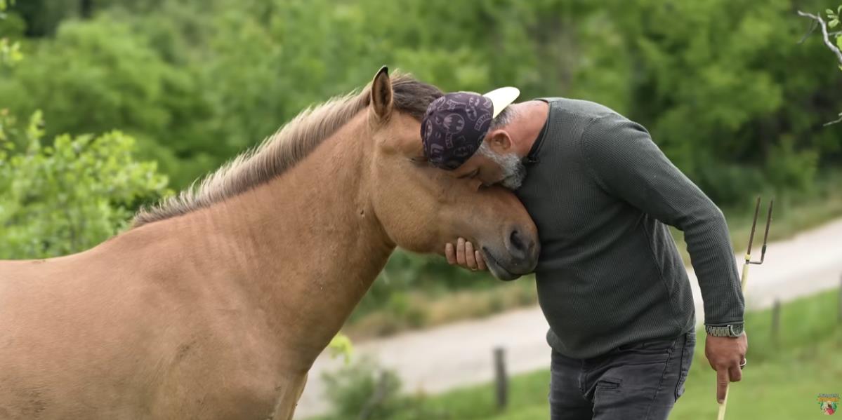 Screenshot 2025-09-03 144815.png