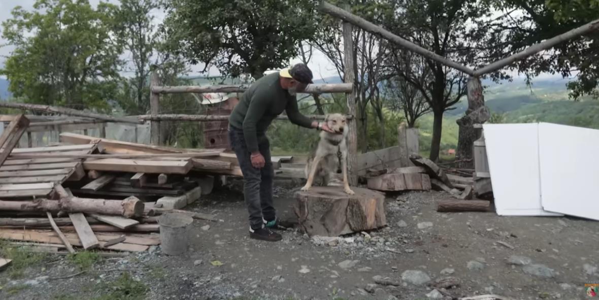 Screenshot 2025-09-03 150657.png