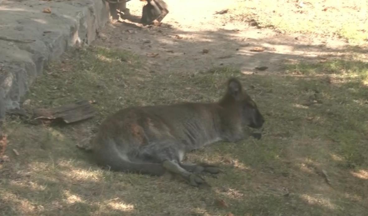 Screenshot 2025-09-03 193356.jpg