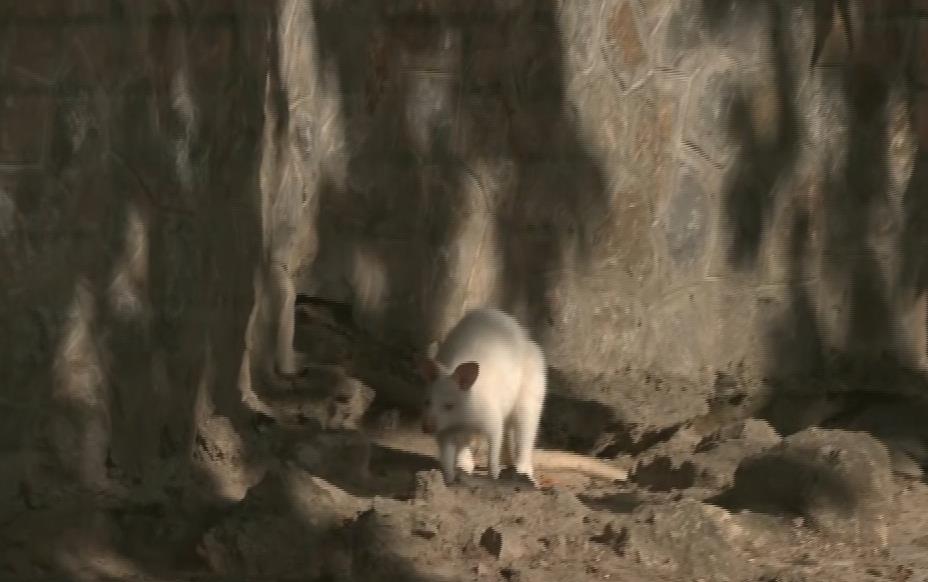 Screenshot 2025-09-03 193343.png