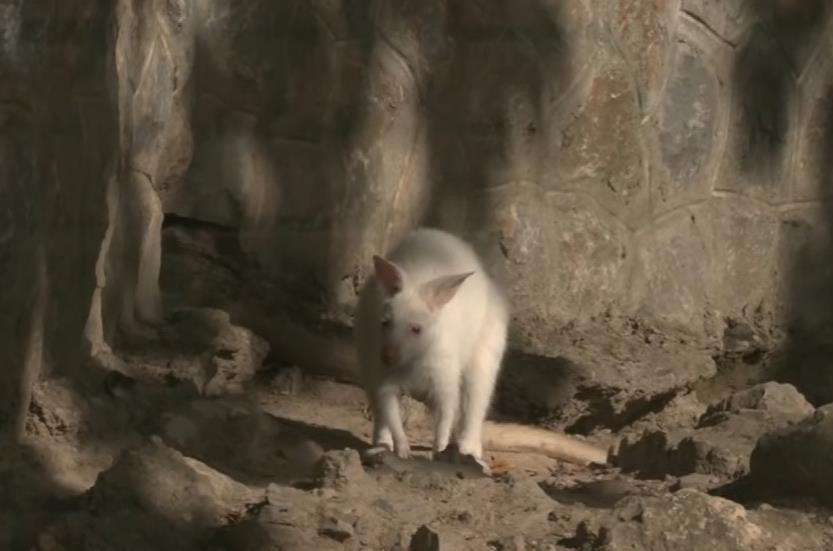 Screenshot 2025-09-03 193334.png