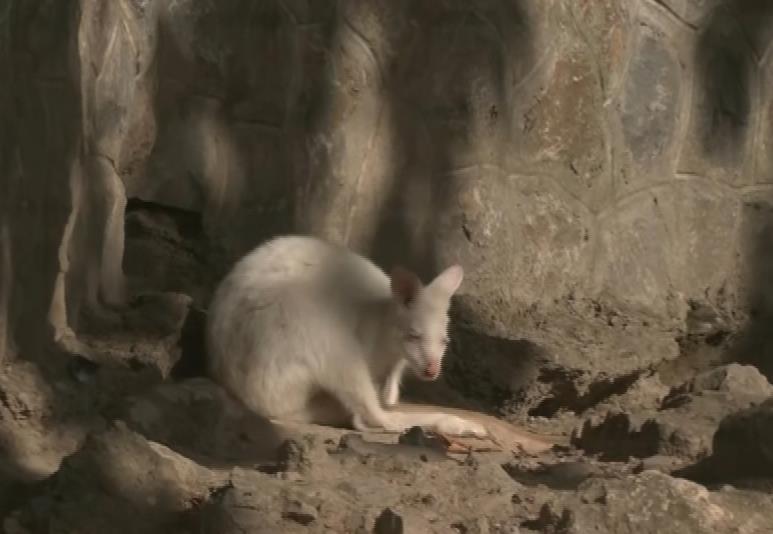 Screenshot 2025-09-03 193326.png