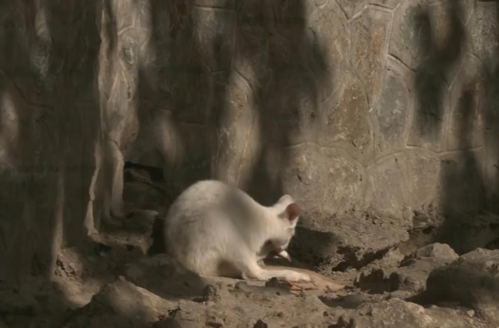 Screenshot 2025-09-03 193314.png