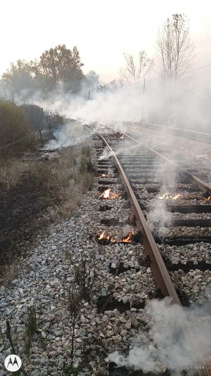 brusnik pozar 15.jpg