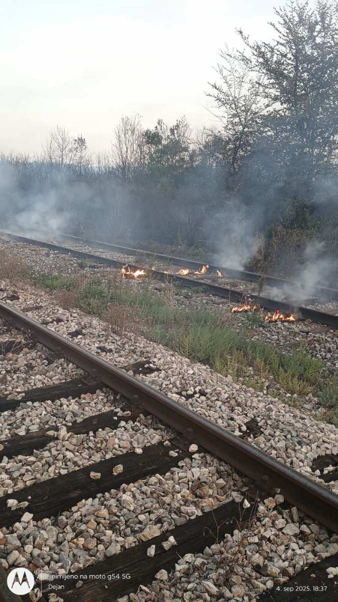 brusnik pozar 14.jpg