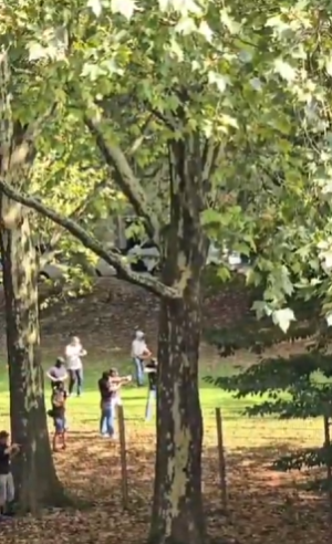 Screenshot 2025-09-05 133053.png