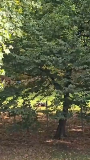 Screenshot 2025-09-05 133015.png