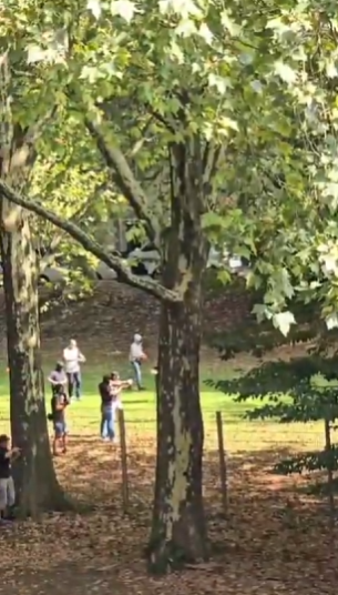 Screenshot 2025-09-05 133006.png