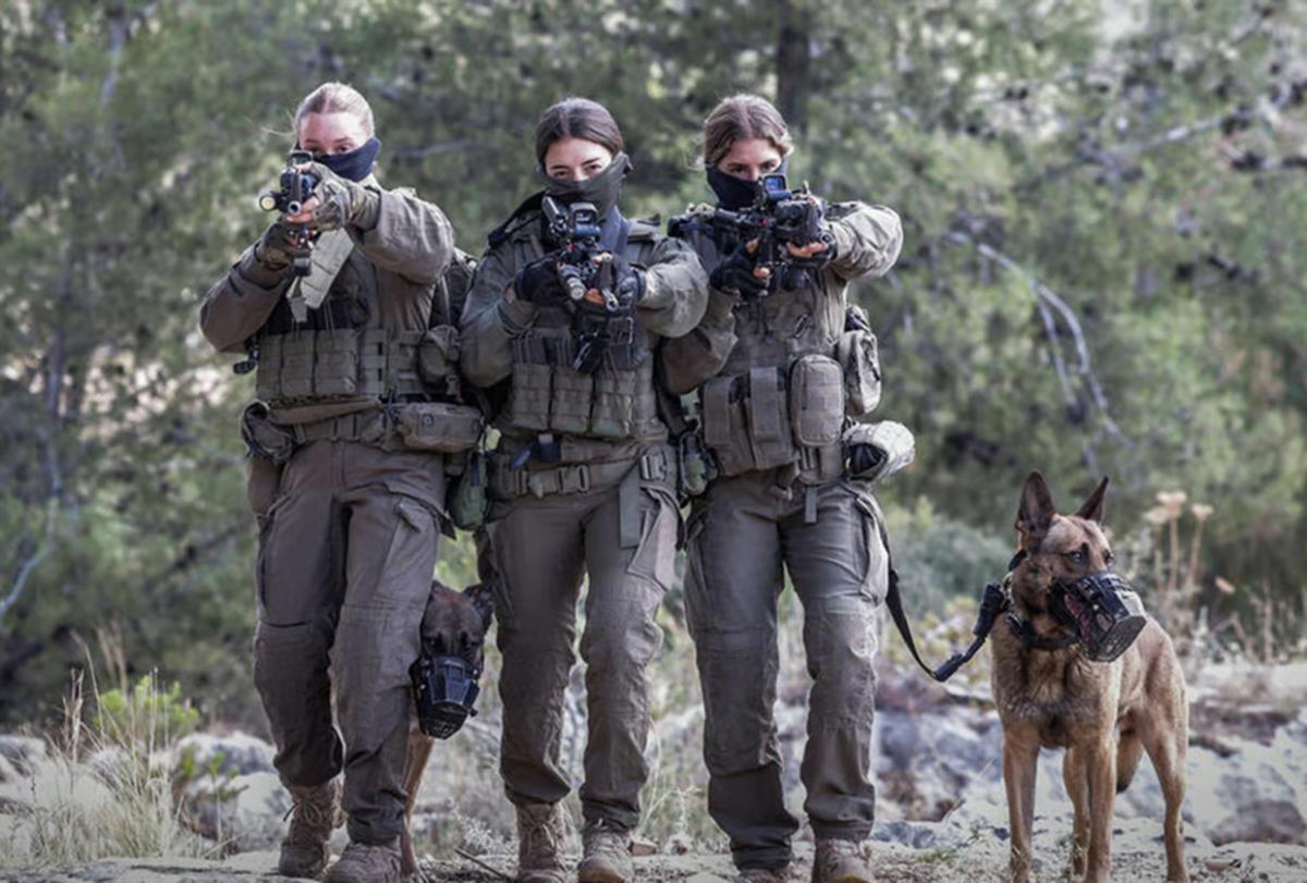 Screenshot 2025-09-07 130041.png