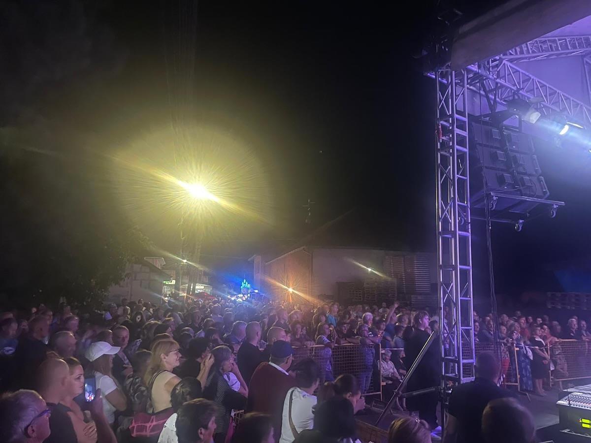 Stopanja, mnogobrojna publika na koncertu.jpg