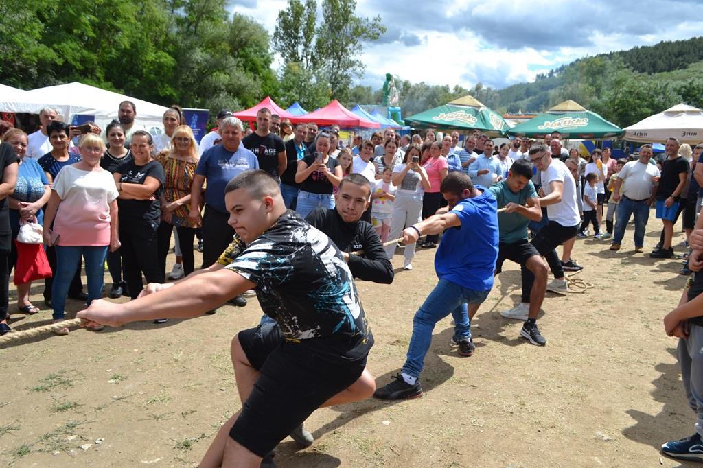 3- foto Goran Mitic.JPG