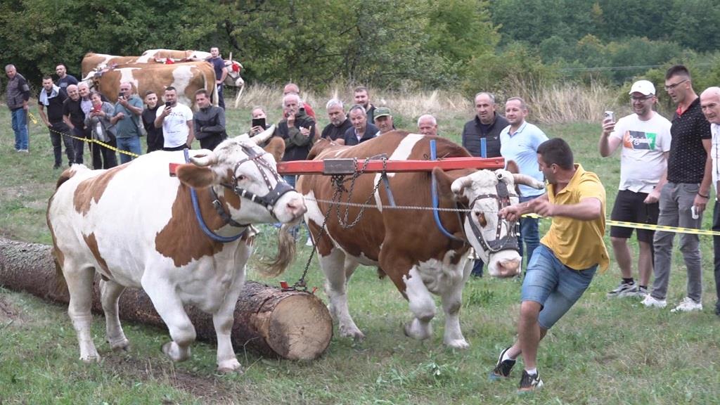 7- foto V. Malesic.jpg