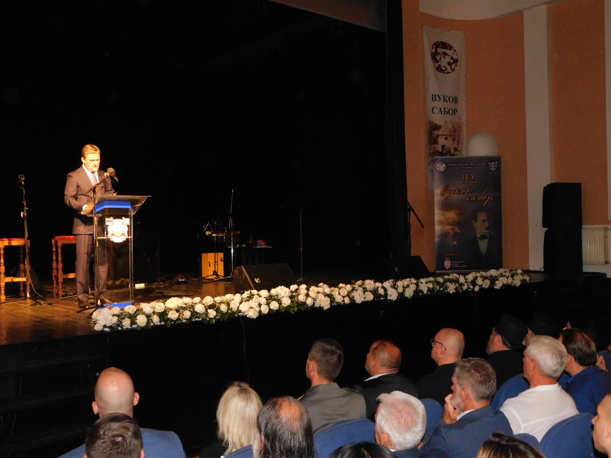 LOZNICA - Selaković u Loznici.JPG