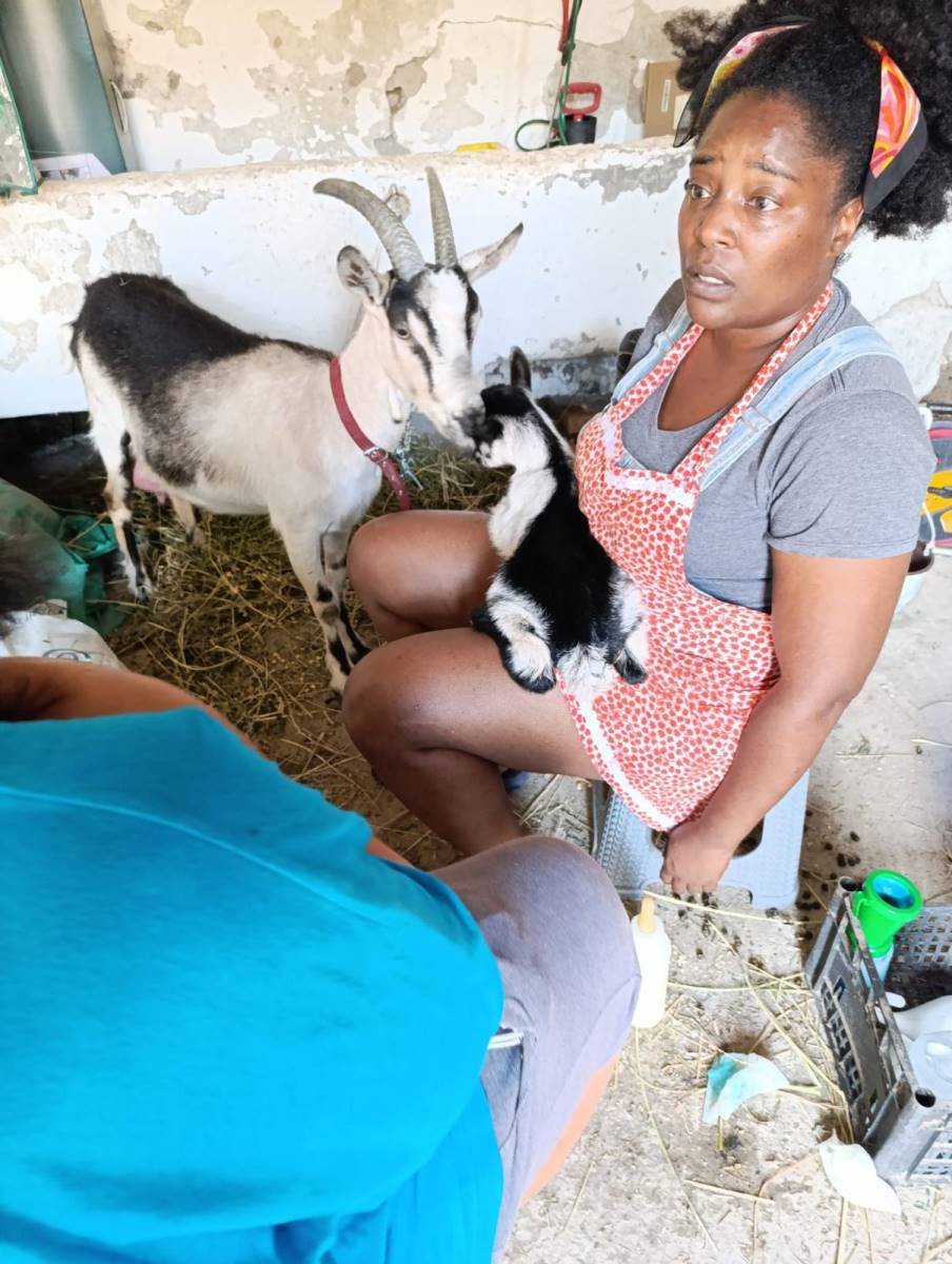 Iris Kanja sa kozama