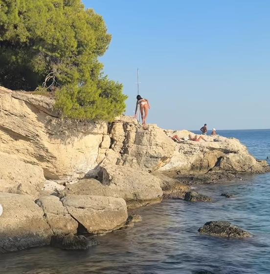 Dragana Mićalović 3.png