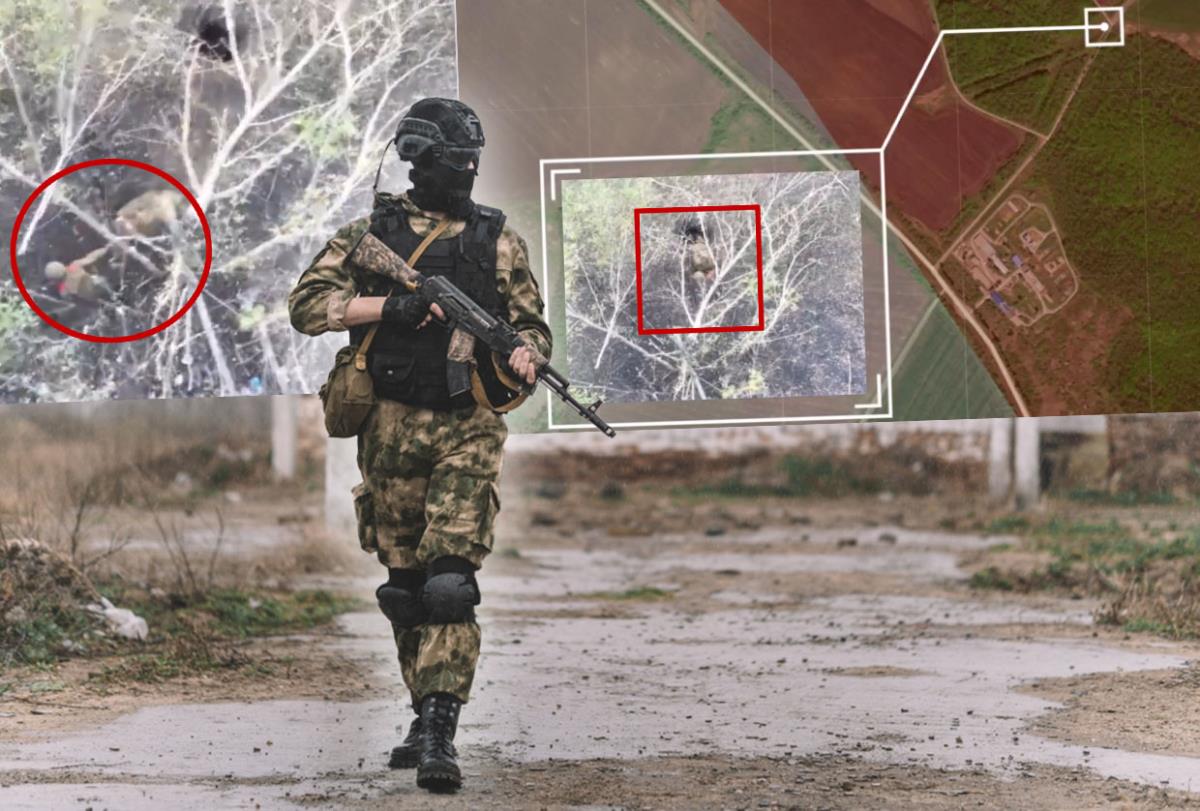 shutterstock_2468695333 copy.jpg