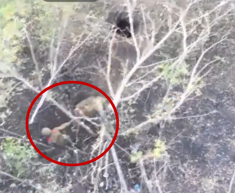 Screenshot 2025-09-13 131740 copy.png