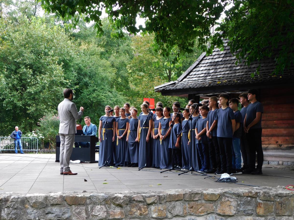 TRŠIĆ -Himna Vuku.jpg