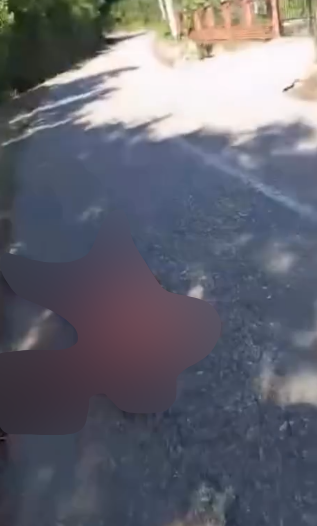 Screenshot 2025-09-15 155941 copy.png